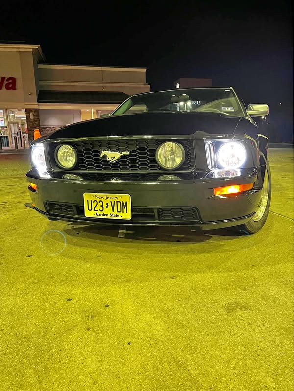 2005 Ford Mustang - GT V8 5 Speed