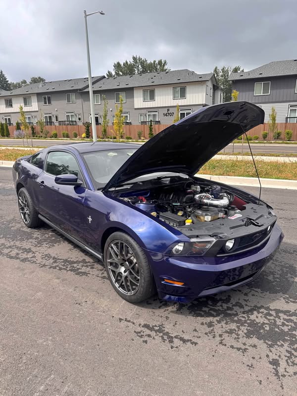 2010 Ford Mustang - GT Premium Coupe 2D