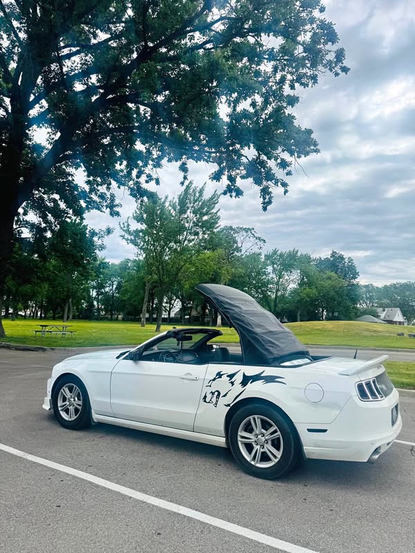 2013 Ford Mustang - Convertible 2D