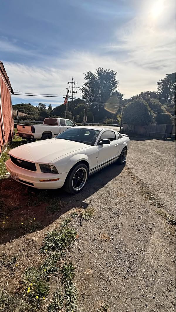 2005 Ford Mustang - Coupe 2D