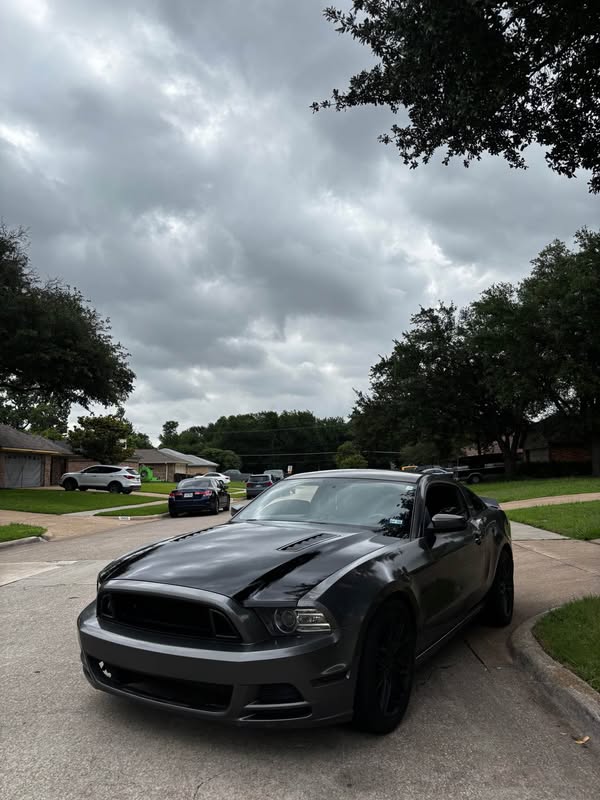 2014 Ford Mustang - GT Coupe 2D