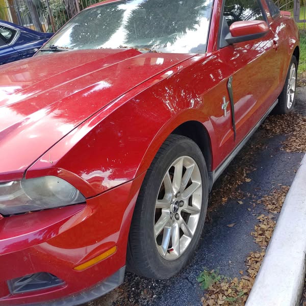 2010 Ford Mustang