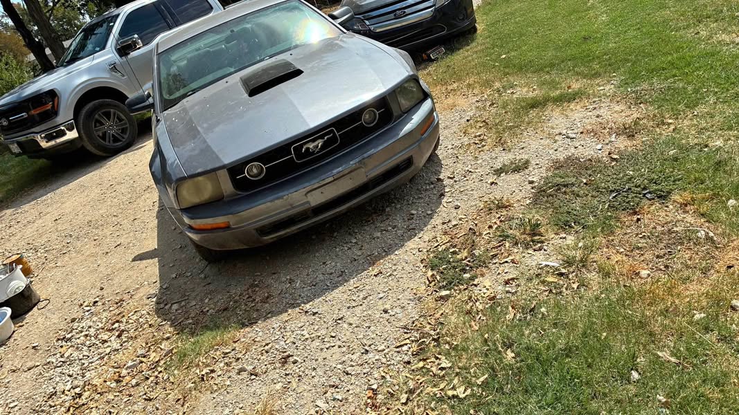 2006 Ford Mustang - Coupe 2D