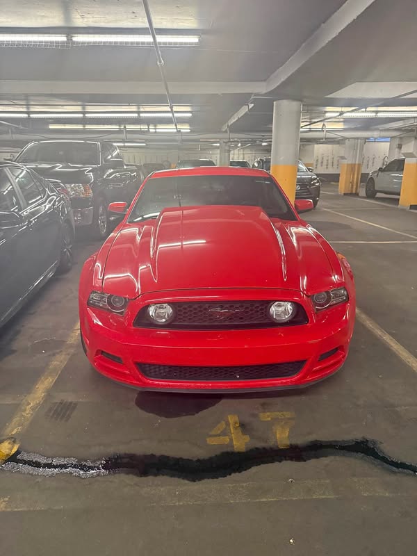 2013 Ford Mustang - GT Coupe 2D