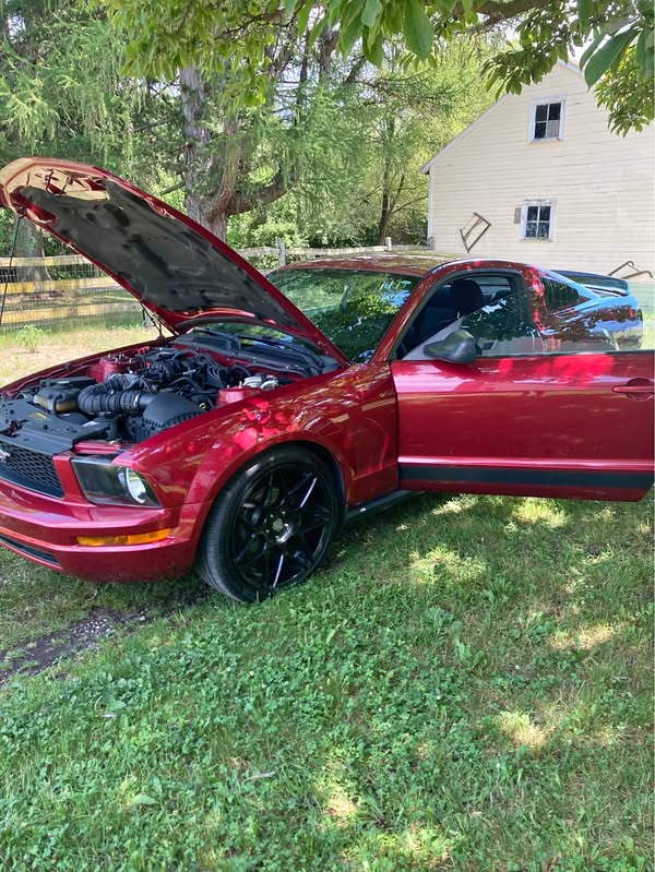 2007 Ford Mustang - V6 Coupe 2D