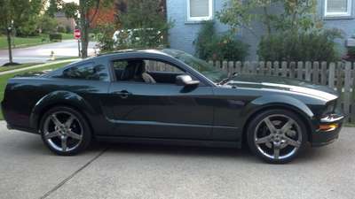 2008 Ford Mustang None