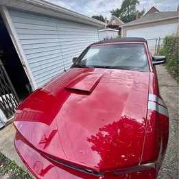 2008 Ford Mustang