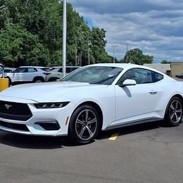 2025 Ford MUSTANG ECOBOOST FASTBACK