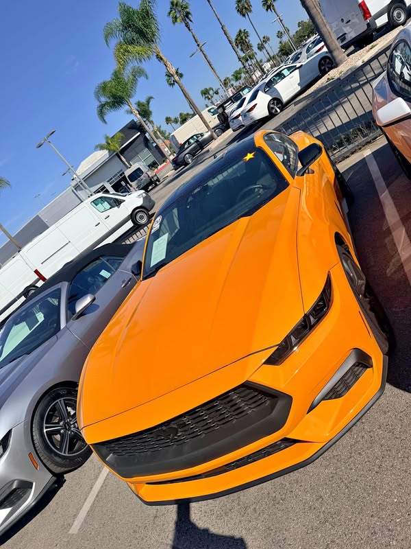 2026 Ford Mustang - Coupe 2D