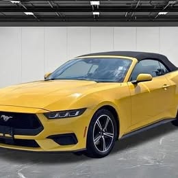 2024 Ford Mustang EcoBoost Premium \ud83e\udd18 64914 Miles