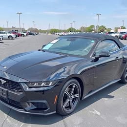 2024 Ford Mustang EcoBoost Premium \ud83e\udd18 51549 Miles