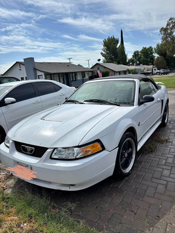 2004 Ford Mustang - V6 Convertible 2D