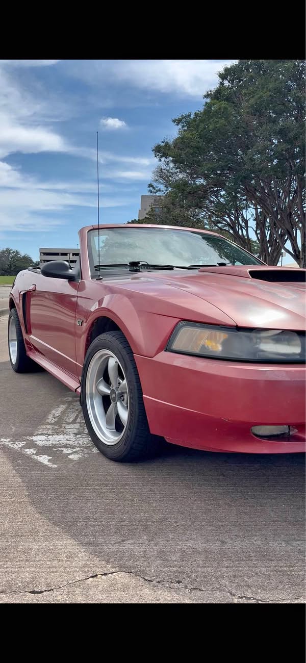 2001 Ford Mustang - GT Convertible 2D
