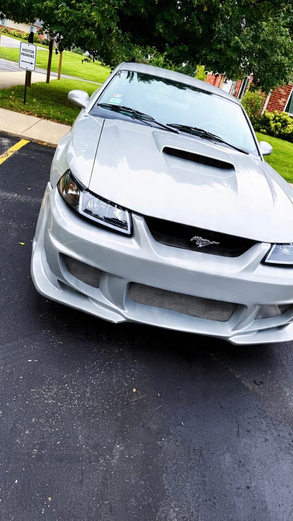 2003 Ford Mustang - V6 Coupe 2D