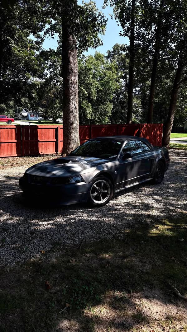 2004 Ford Mustang - GT Premium Convertible 2D