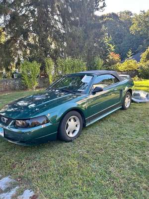 2000 Ford Mustang - Convertible 2D