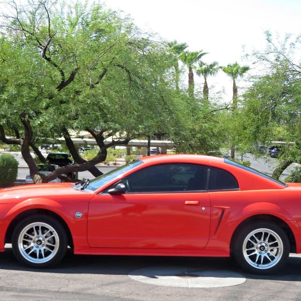 2004 Ford MUSTANG 40TH ANNIVERSARY EDITION LOW MILES EXTRA CLEAN 5SPEED MANAUAL