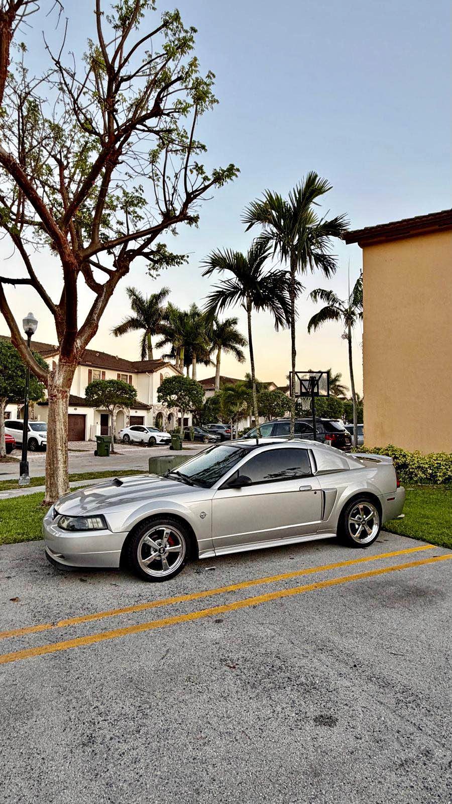 1999 Ford Mustang - Coupe 2D