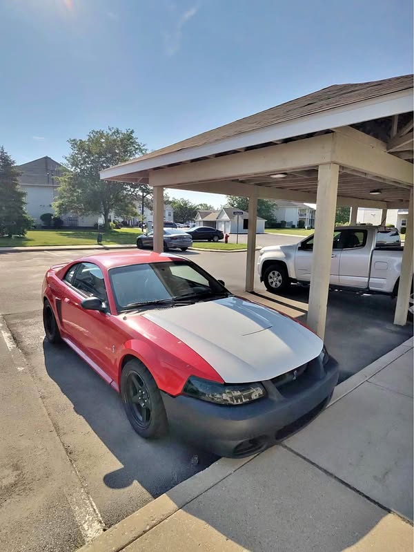 1999 Ford Mustang - Cobra SVT Coupe 2D