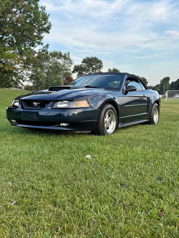 2001 Ford Mustang - GT Convertible 2D