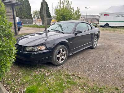 2003 Ford Mustang - Srs