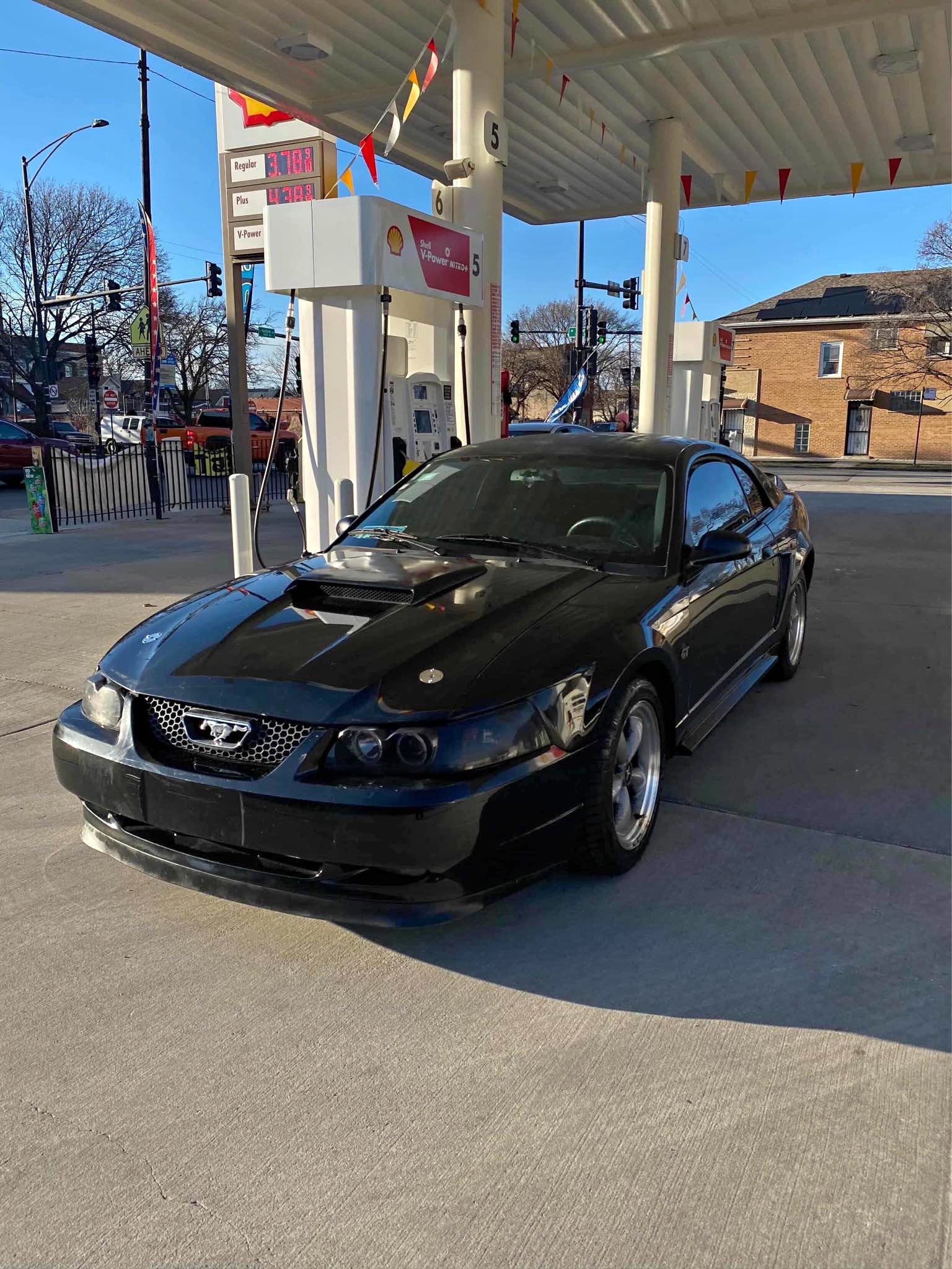 2000 Ford Mustang - GT Coupe 2D