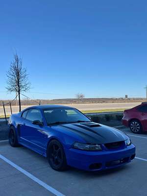2003 Ford Mustang - Mach 1