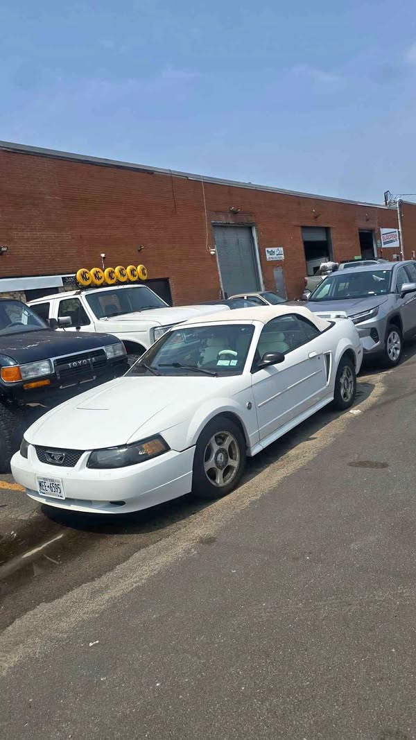 2004 Ford Mustang - Convertible 2D