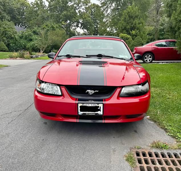 1999 Ford Mustang - Convertible 2D