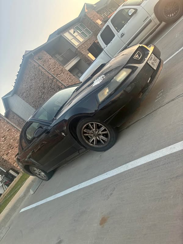 2003 Ford Mustang - V6 Premium Coupe 2D