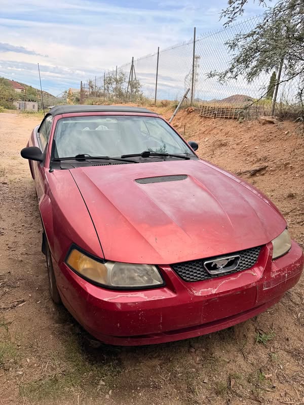 2000 Ford Mustang - Convertible 2D