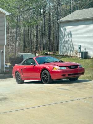 2000 Ford Mustang - V6 Convertible 2D
