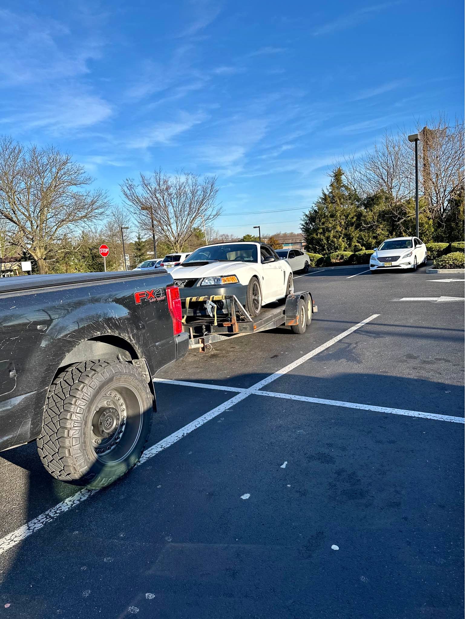 1999 Ford Mustang - GT Convertible 2D