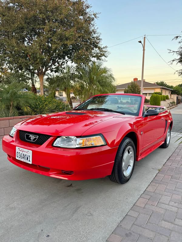 2000 Ford Mustang - Convertible 2D
