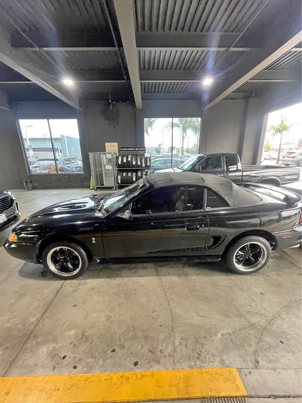 1997 Ford Mustang - Cobra Convertible 2D