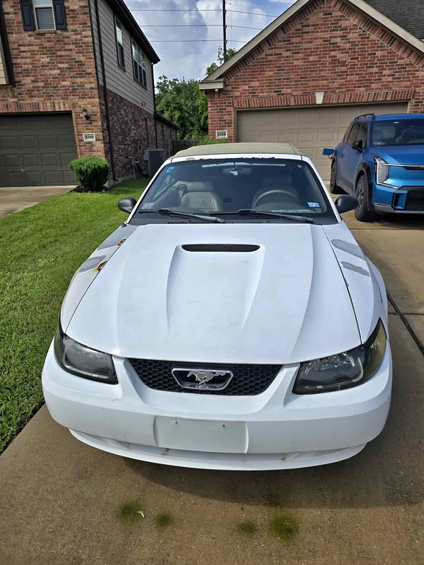 2000 Ford Mustang - Convertible v6