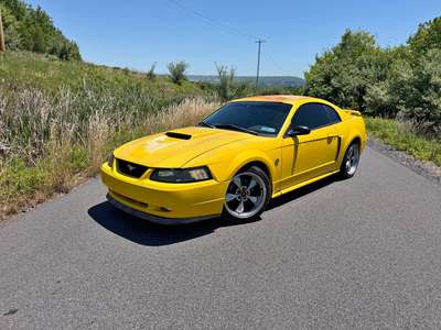 2004 Ford Mustang - GT Deluxe Coupe 2D