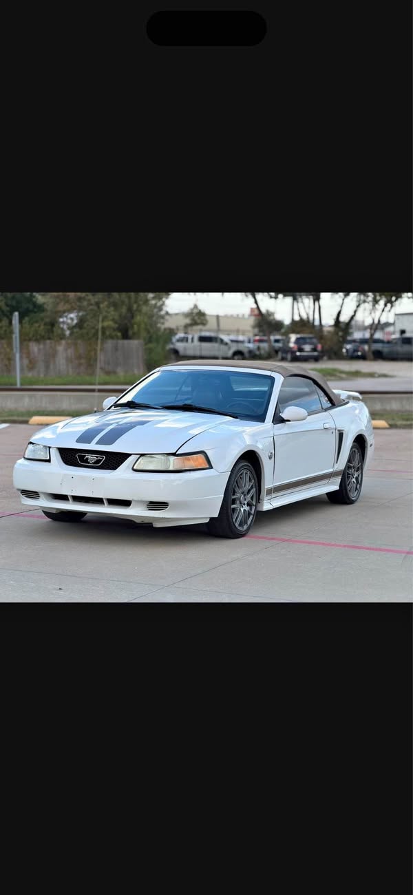 2004 Ford Mustang - V6 Convertible 2D
