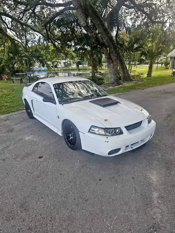 2000 Ford Mustang - GT Coupe 2D