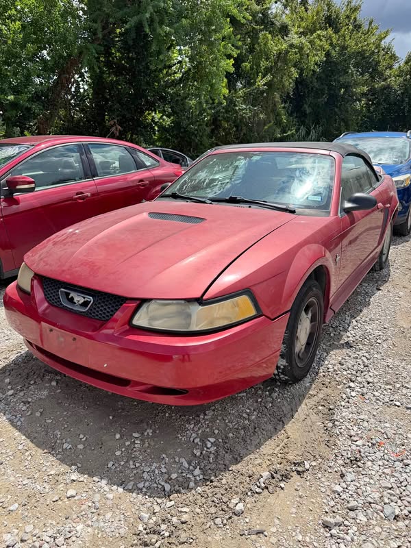 2000 Ford Mustang - Coupe 2D