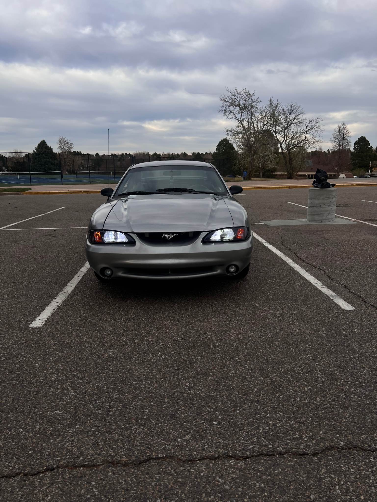 1998 Ford Mustang - Coupe 2D