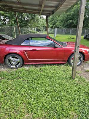 2004 Ford Mustang - V6 Premium Convertible 2D