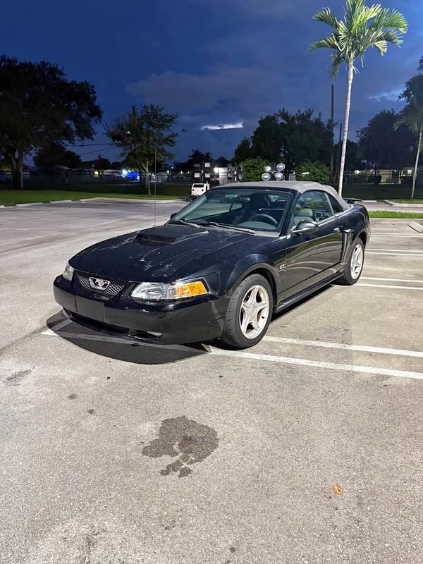 2002 Ford Mustang - GT Convertible 2D