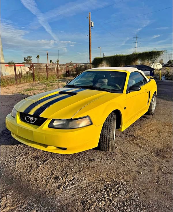 2001 Ford Mustang - GT Convertible 2D