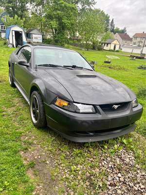 2000 Ford Mustang - V6 Coupe 2D