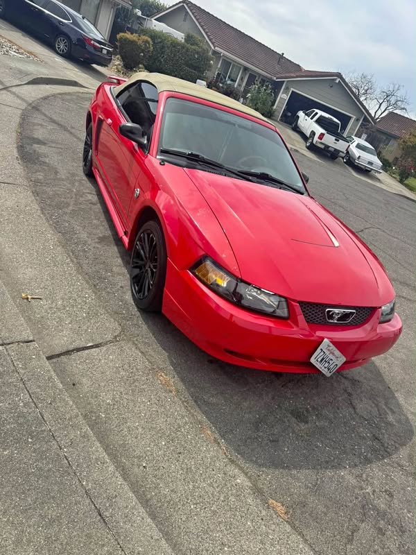 2004 Ford Mustang - Deluxe Convertible 2D