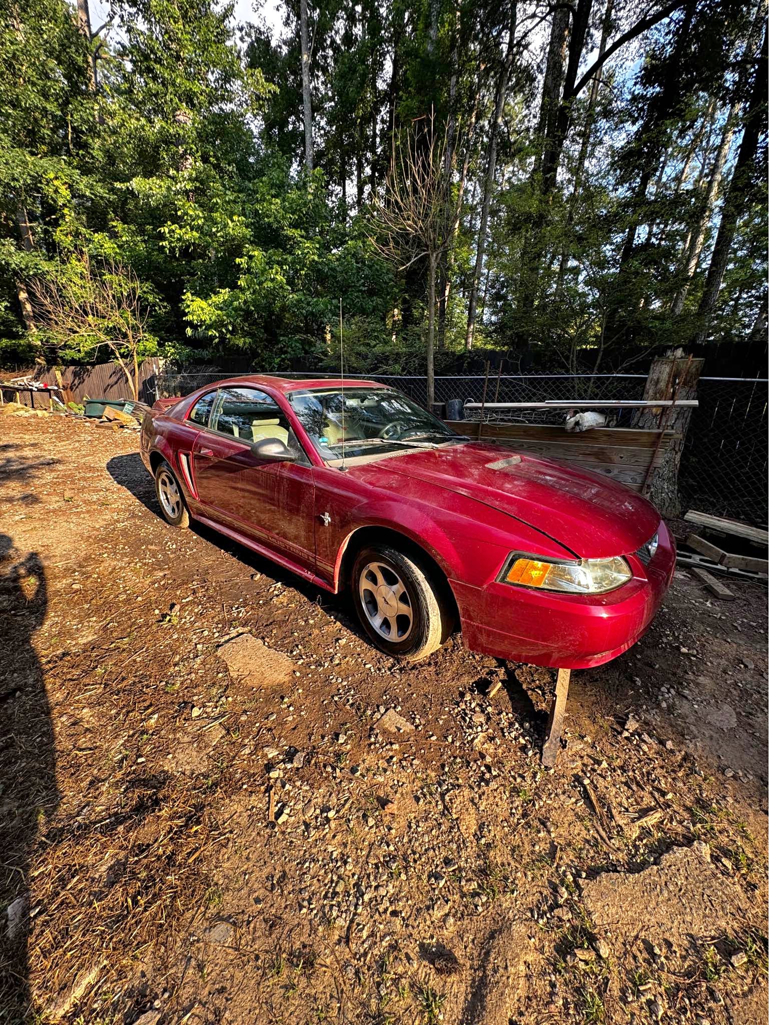 2000 Ford Mustang - Coupe 2D