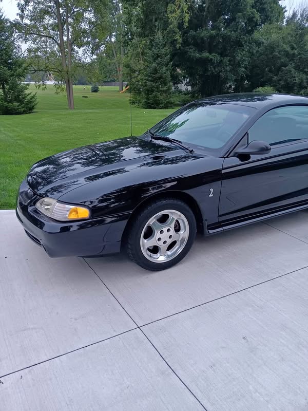 1995 Ford Mustang - Cobra SVT Coupe 2D