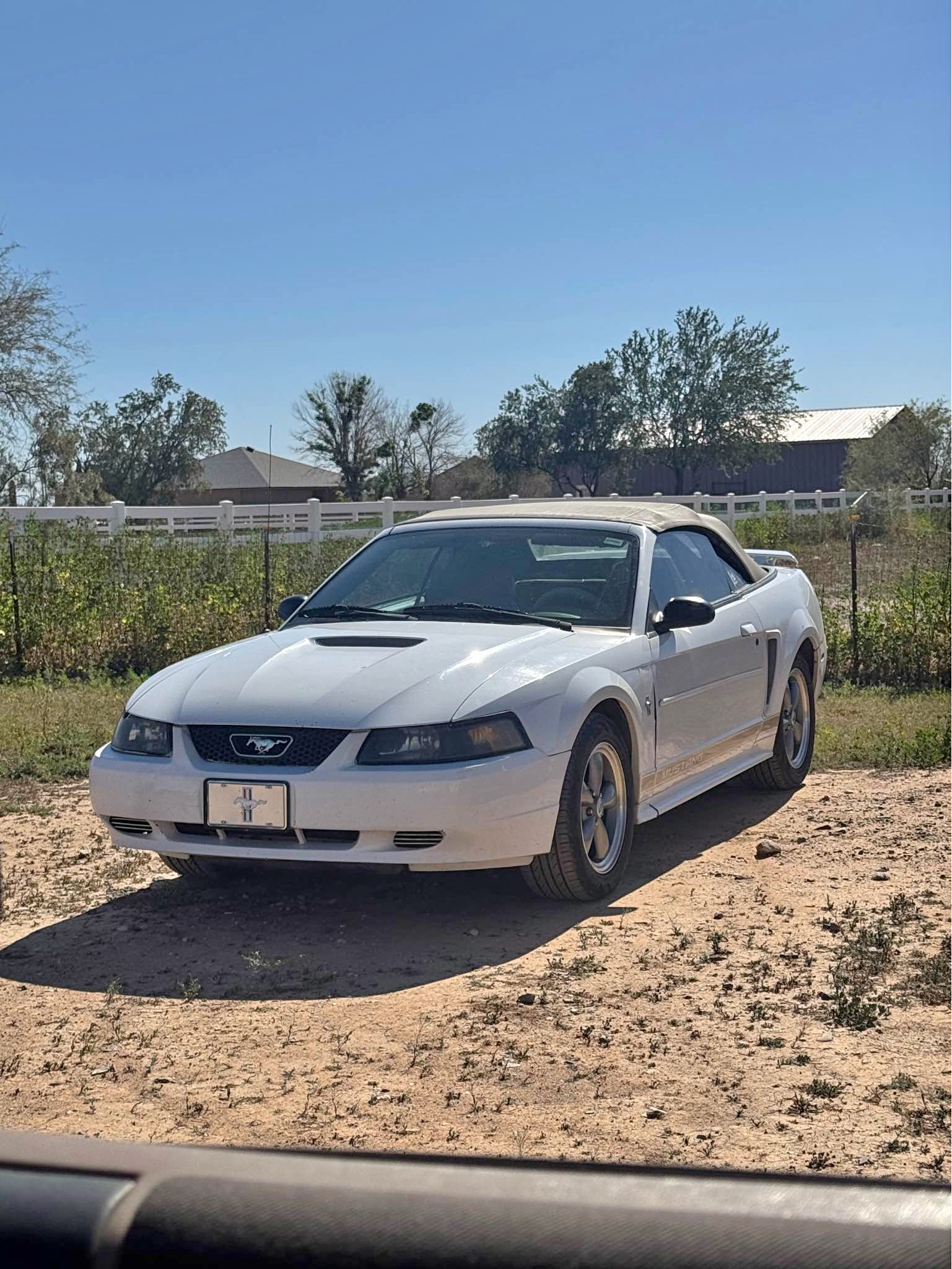 2002 mustang Ford