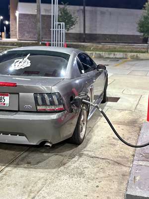 1999 Ford Mustang - GT Coupe 2D